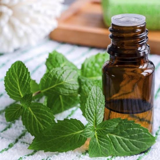 Mint Oil 